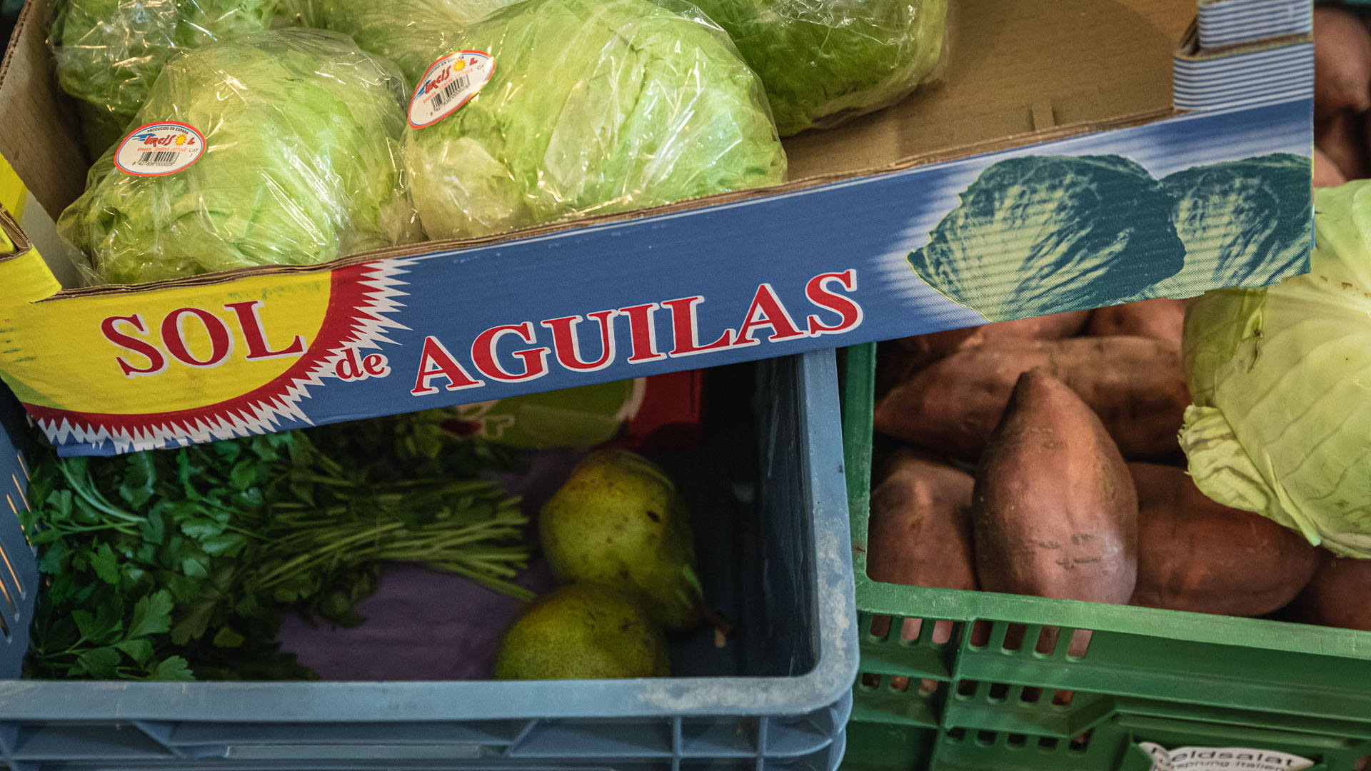 Maíz Taqueria, Würzburg